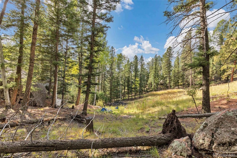 926 Pinon Ln, Florissant, CO 80816