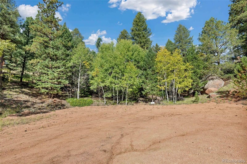 926 Pinon Ln, Florissant, CO 80816