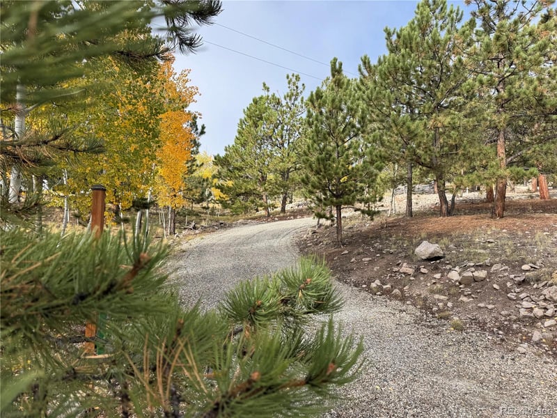 171 Whip Way, Hartsel, CO 80449
