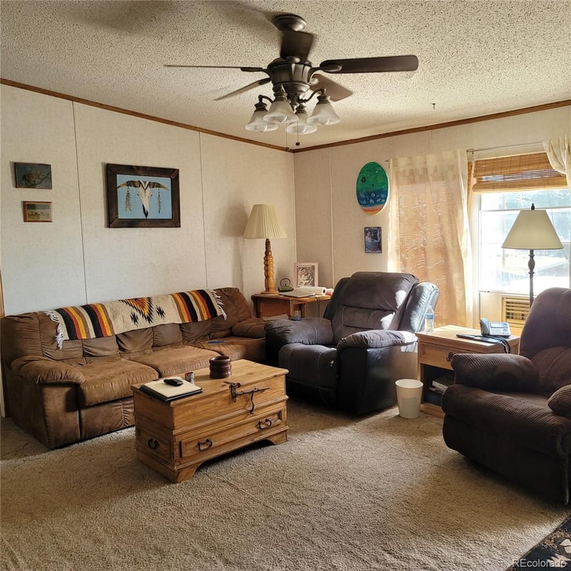 8152 Pine Dr, Rye, CO 81069