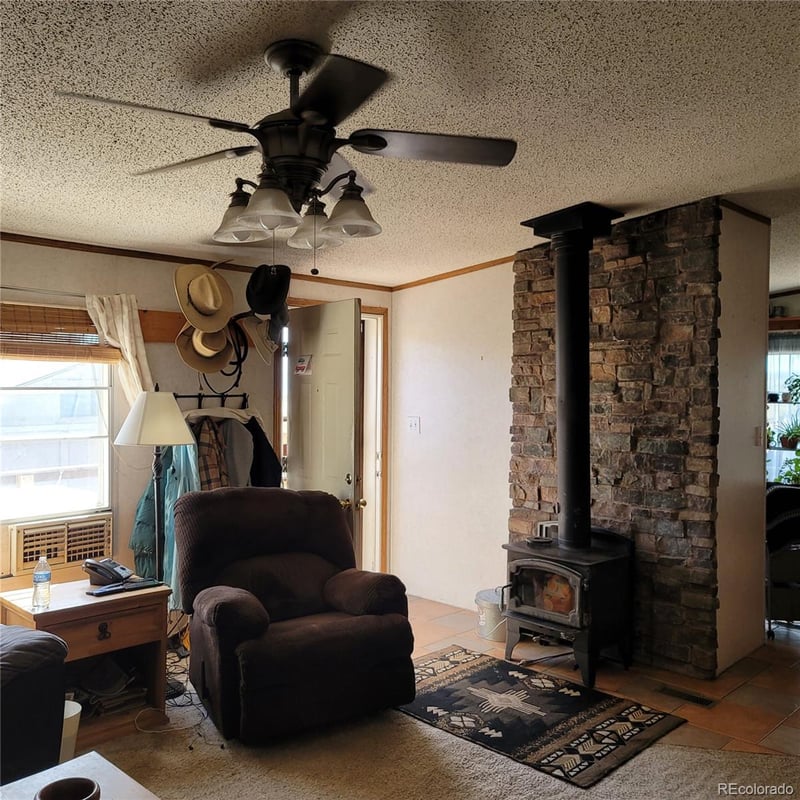 8152 Pine Dr, Rye, CO 81069