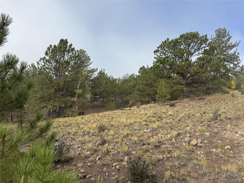155 Whip Way, Hartsel, CO 80449