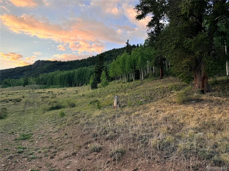 3 - 4 Cooper Jury Ln Tract 3 & 4 Ave, Antonito, CO 81120