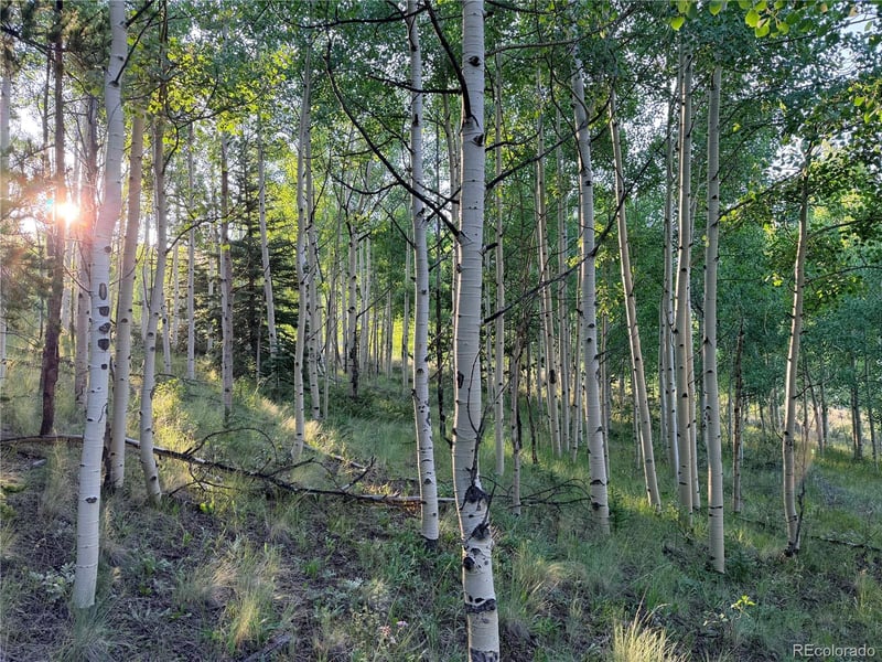 3 - 4 Cooper Jury Ln Tract 3 & 4 Ave, Antonito, CO 81120