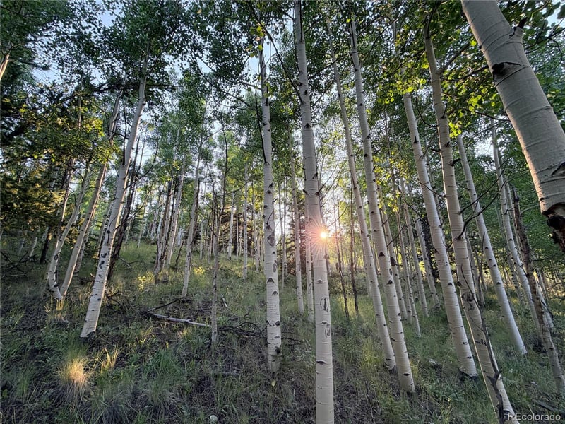 3 - 4 Cooper Jury Ln Tract 3 & 4 Ave, Antonito, CO 81120