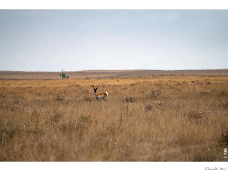 0 Cr 90 140 Ac, Ault, CO 80610