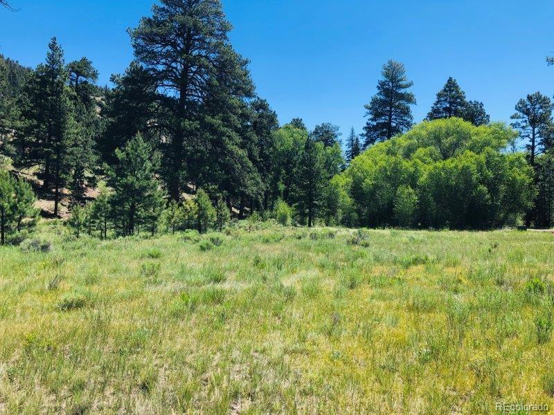 151 Wagon Train Dr, Antonito, CO 81120