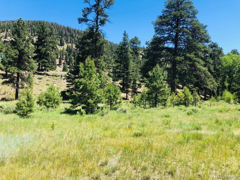 151 Wagon Train Dr, Antonito, CO 81120