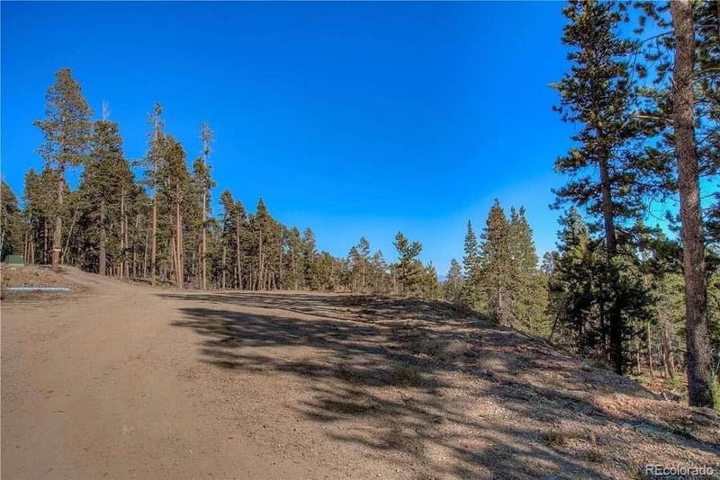 300 Gallagher Ln, Fairplay, CO 80440