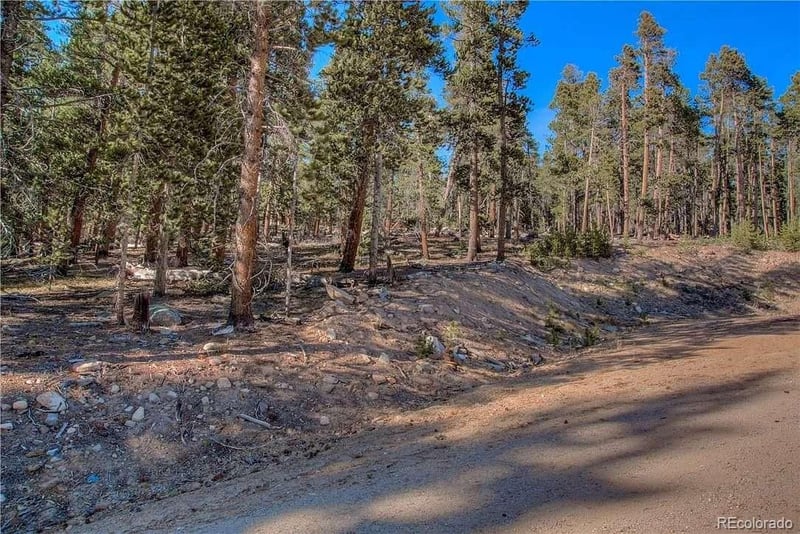 300 Gallagher Ln, Fairplay, CO 80440