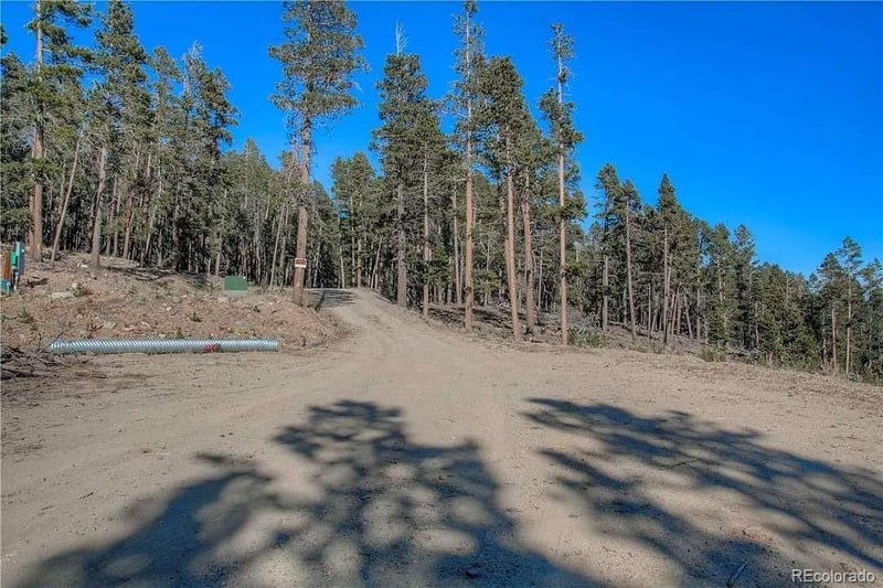 300 Gallagher Ln, Fairplay, CO 80440