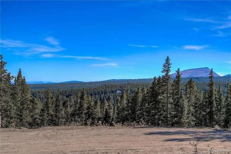 300 Gallagher Ln, Fairplay, CO 80440