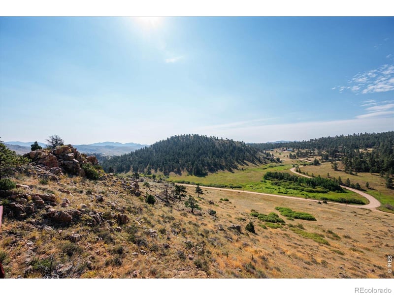 23 E Quandary Ct, Livermore, CO 80536