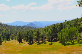 26115 Amy Cir, Conifer, CO 80433