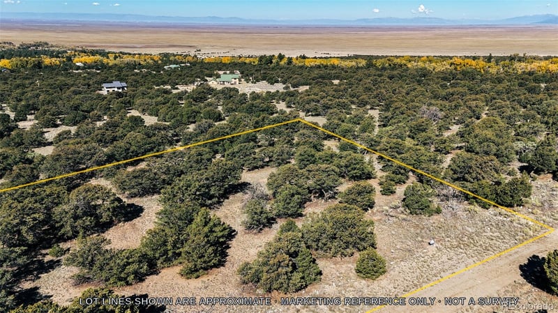 105 Crosstimber Ln, Mosca, CO 81146