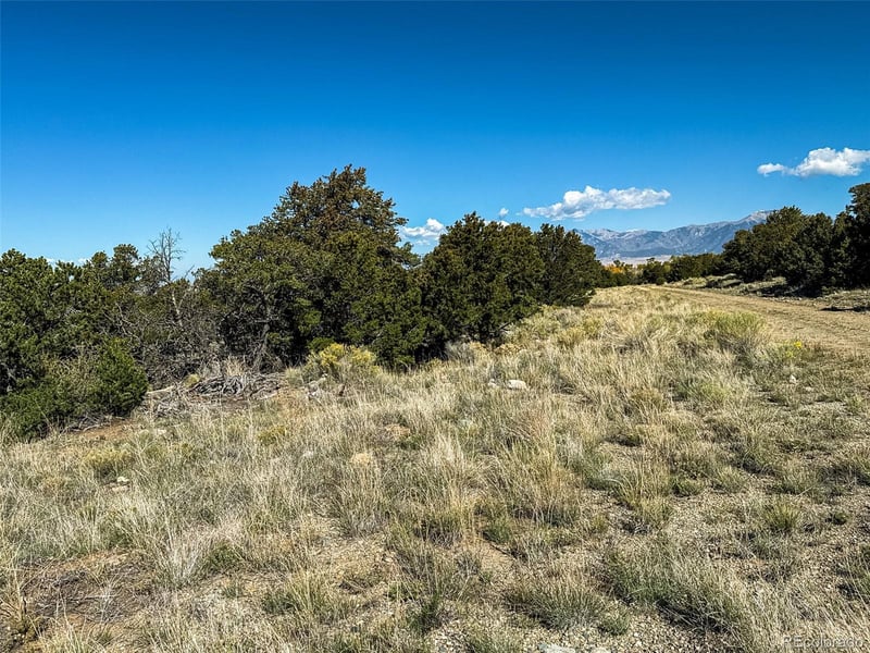 105 Crosstimber Ln, Mosca, CO 81146