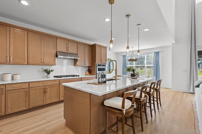 459 Welded Tuff Trl, Castle Rock, CO 80104