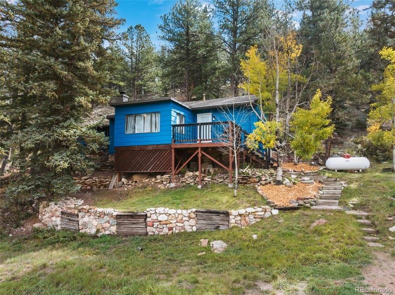 74 Brook By Way, Florissant, CO 80816