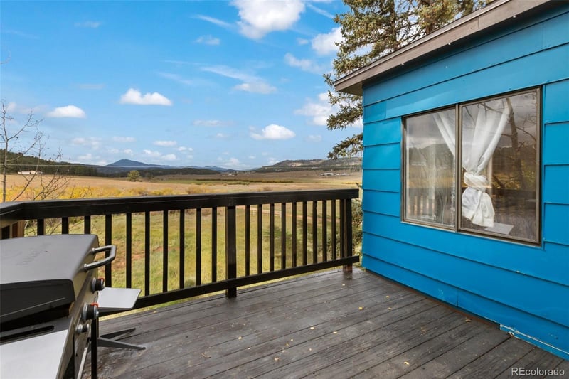 74 Brook By Way, Florissant, CO 80816