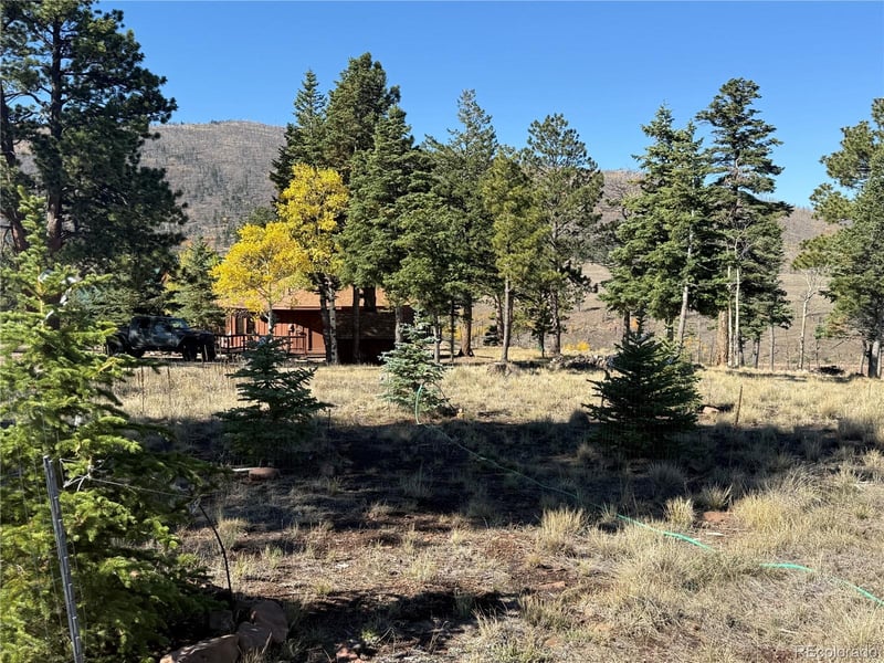 707-708 Marriott Cir, Fort Garland, CO 81133