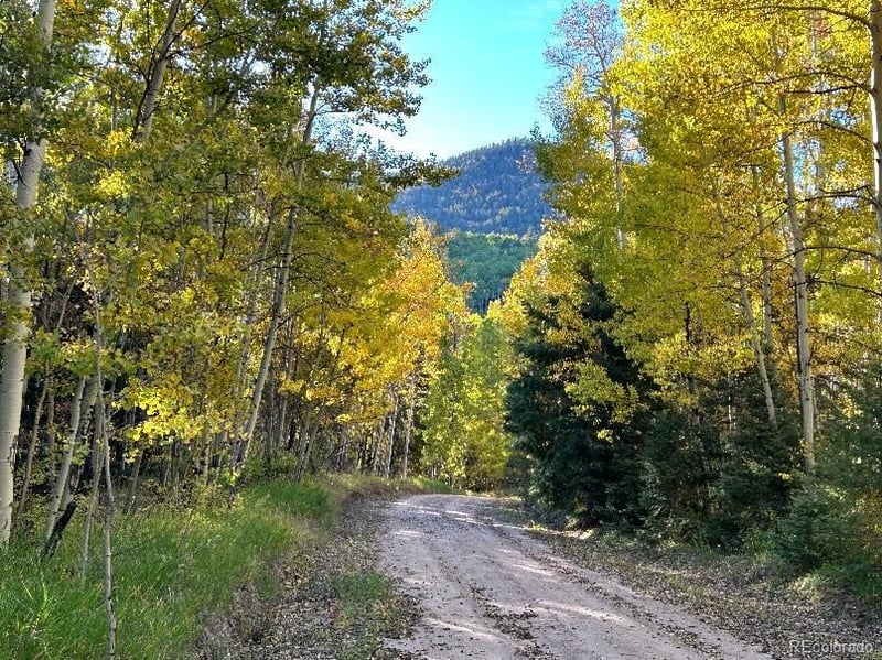 Lot 5174 Mo Rd Lot 5174, Fort Garland, CO 81133