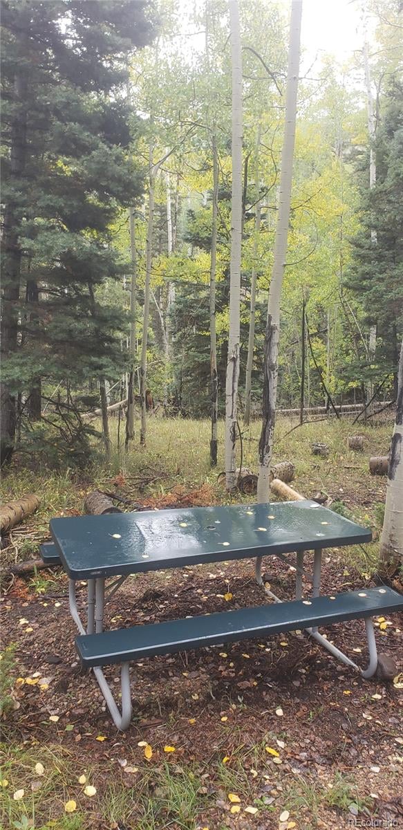 Lot 5174 Mo Rd Lot 5174, Fort Garland, CO 81133