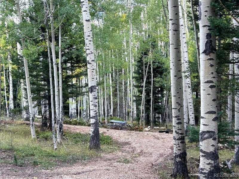 Lot 5174 Mo Rd Lot 5174, Fort Garland, CO 81133