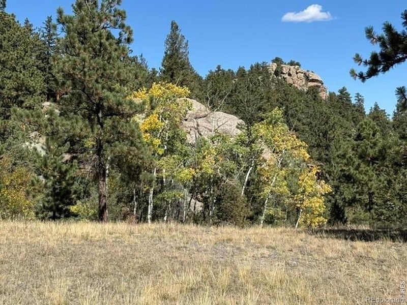 0 Tbd Bald Mountain Dr, Livermore, CO 80536