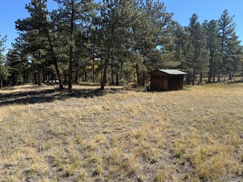 0 Tbd Bald Mountain Dr, Livermore, CO 80536
