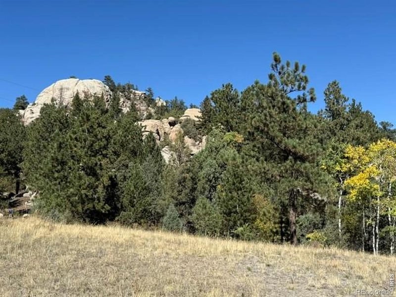 0 Tbd Bald Mountain Dr, Livermore, CO 80536