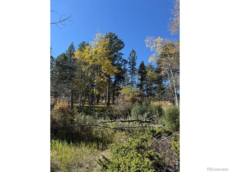0 Tbd Bald Mountain Dr, Livermore, CO 80536