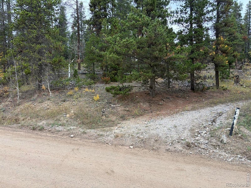 1351 Lump Gulch Rd, Black Hawk, CO 80422