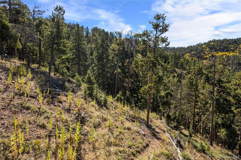 13126 Andiron Way Lot 126, Larkspur, CO 80118