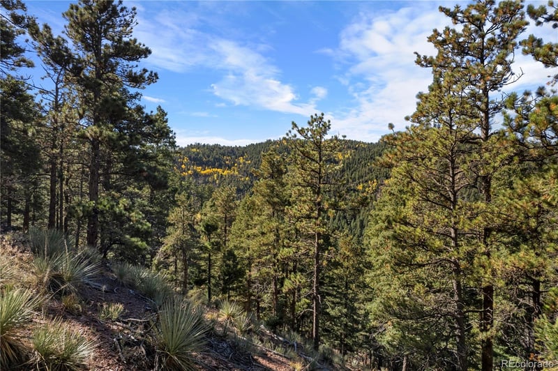 13126 Andiron Way Lot 126, Larkspur, CO 80118