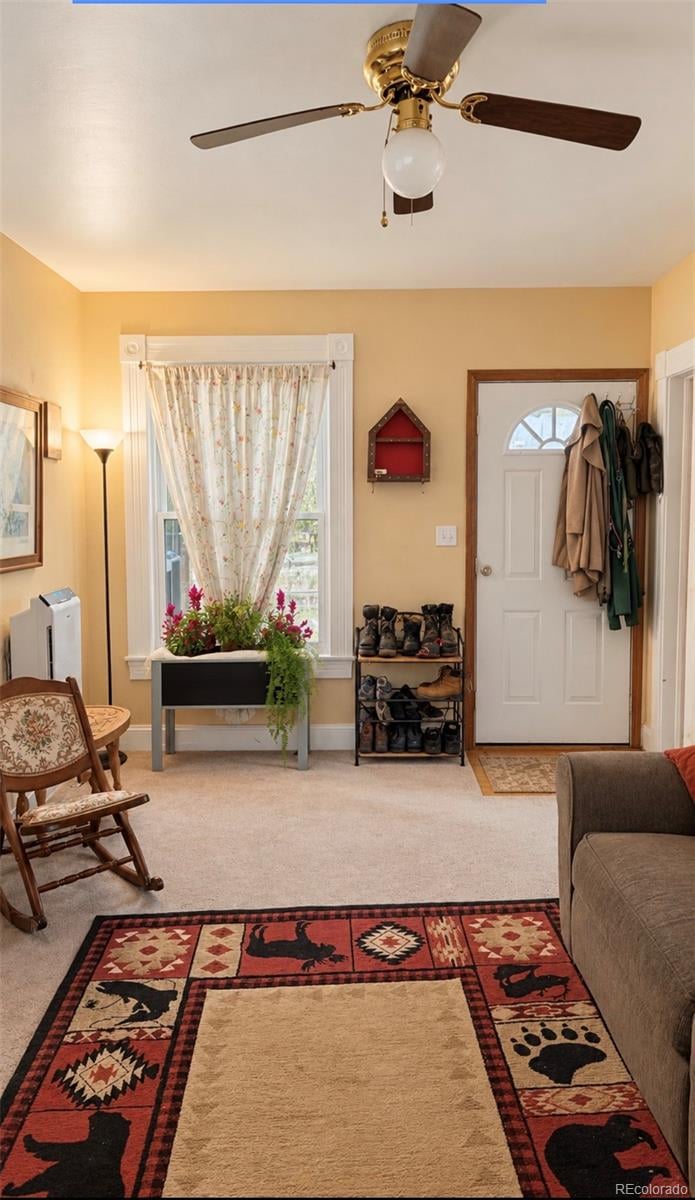 125 W Masonic Ave, Cripple Creek, CO 80813