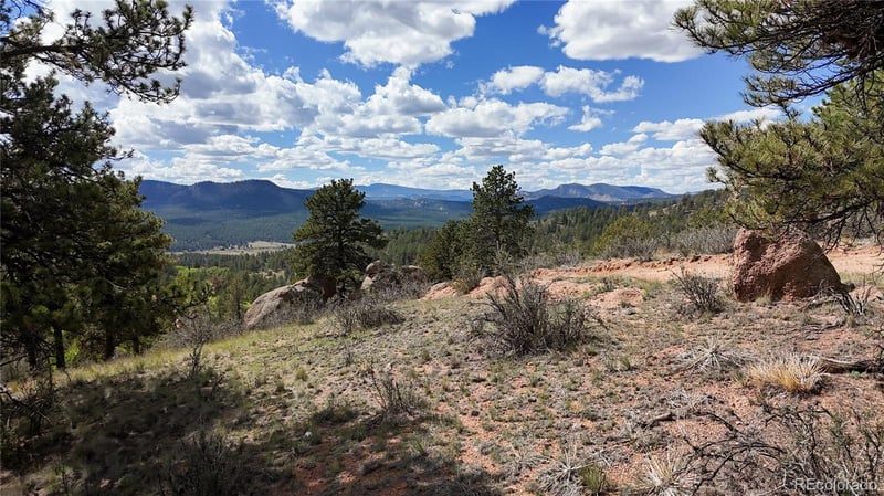 95 Navajo Trl, Florissant, CO 80816
