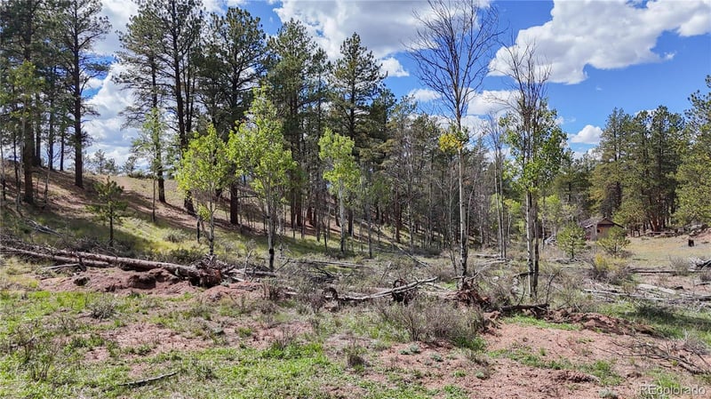 95 Navajo Trl, Florissant, CO 80816
