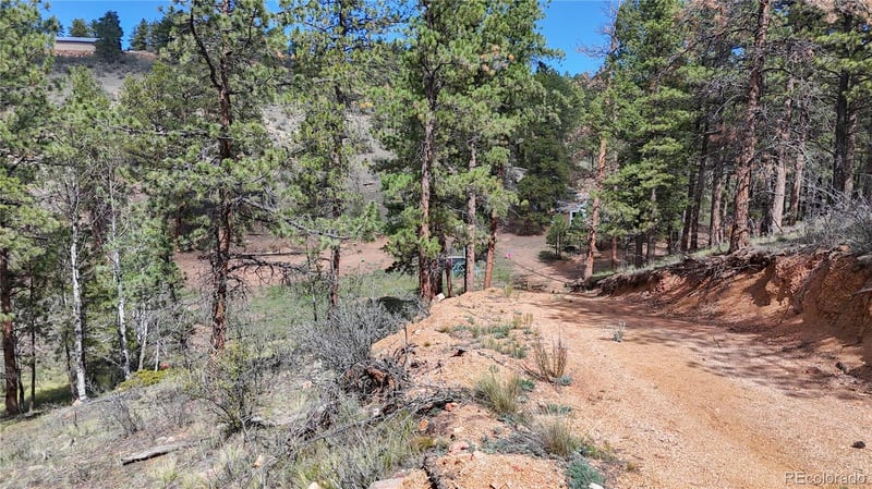 95 Navajo Trl, Florissant, CO 80816