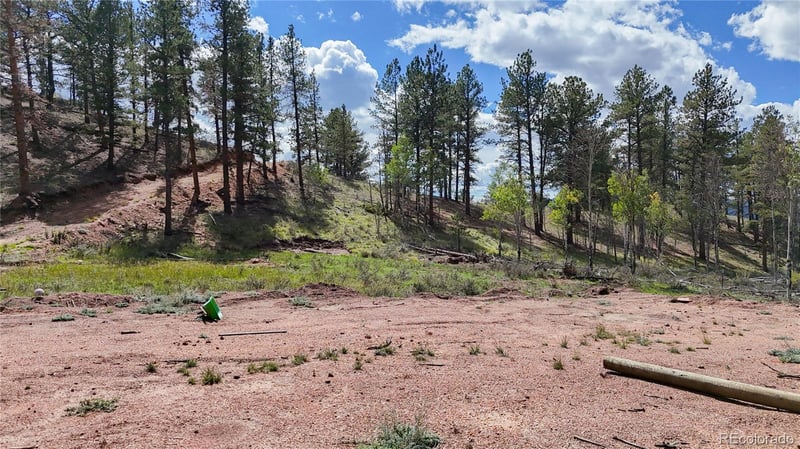 95 Navajo Trl, Florissant, CO 80816