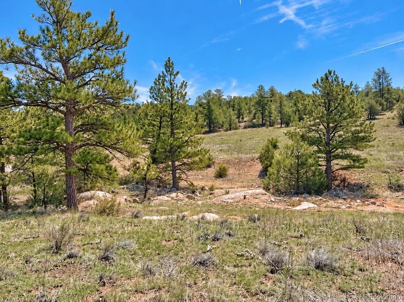 103 Cheyenne Ct, Cotopaxi, CO 81223