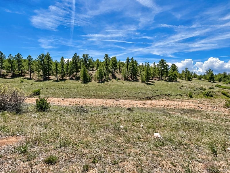 103 Cheyenne Ct, Cotopaxi, CO 81223