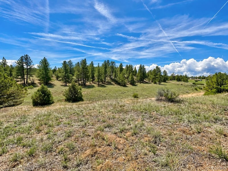 103 Cheyenne Ct, Cotopaxi, CO 81223
