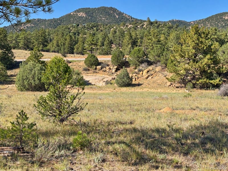 103 Cheyenne Ct, Cotopaxi, CO 81223