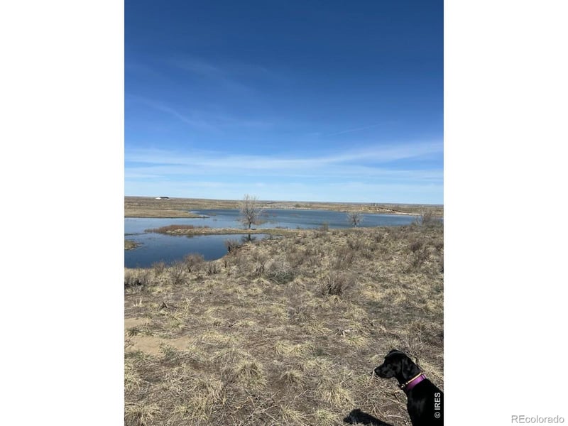 20528 County Road 3, Wiggins, CO 80654