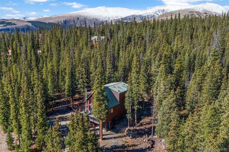 157 Prunes Pl, Fairplay, CO 80440