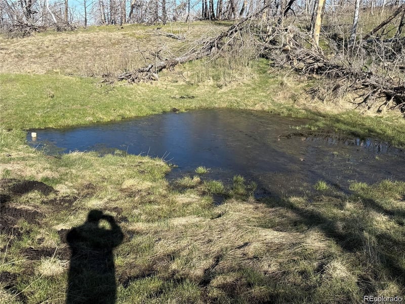 Lot 416 Spangle Dr Lot 416, Fort Garland, CO 81133