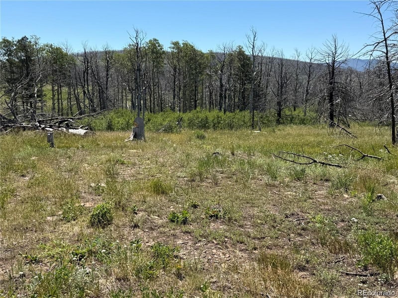 Lot 416 Spangle Dr Lot 416, Fort Garland, CO 81133