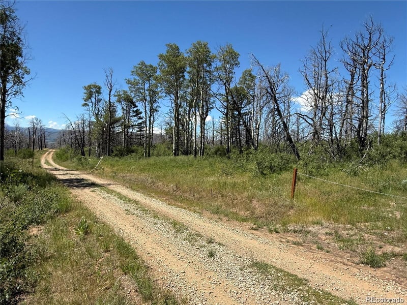 Lot 416 Spangle Dr Lot 416, Fort Garland, CO 81133