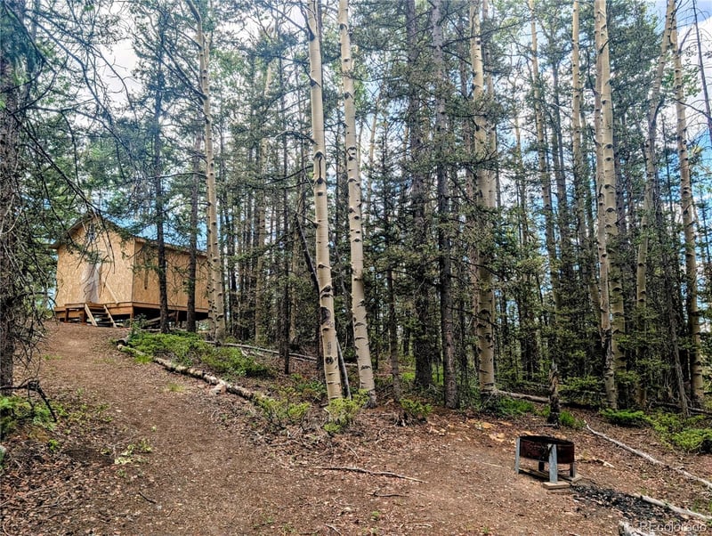 8.5 Acres Phillips Rd, Fort Garland, CO 81133