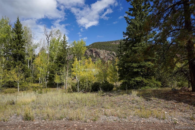48 Deer Park Rd, Antonito, CO 81120